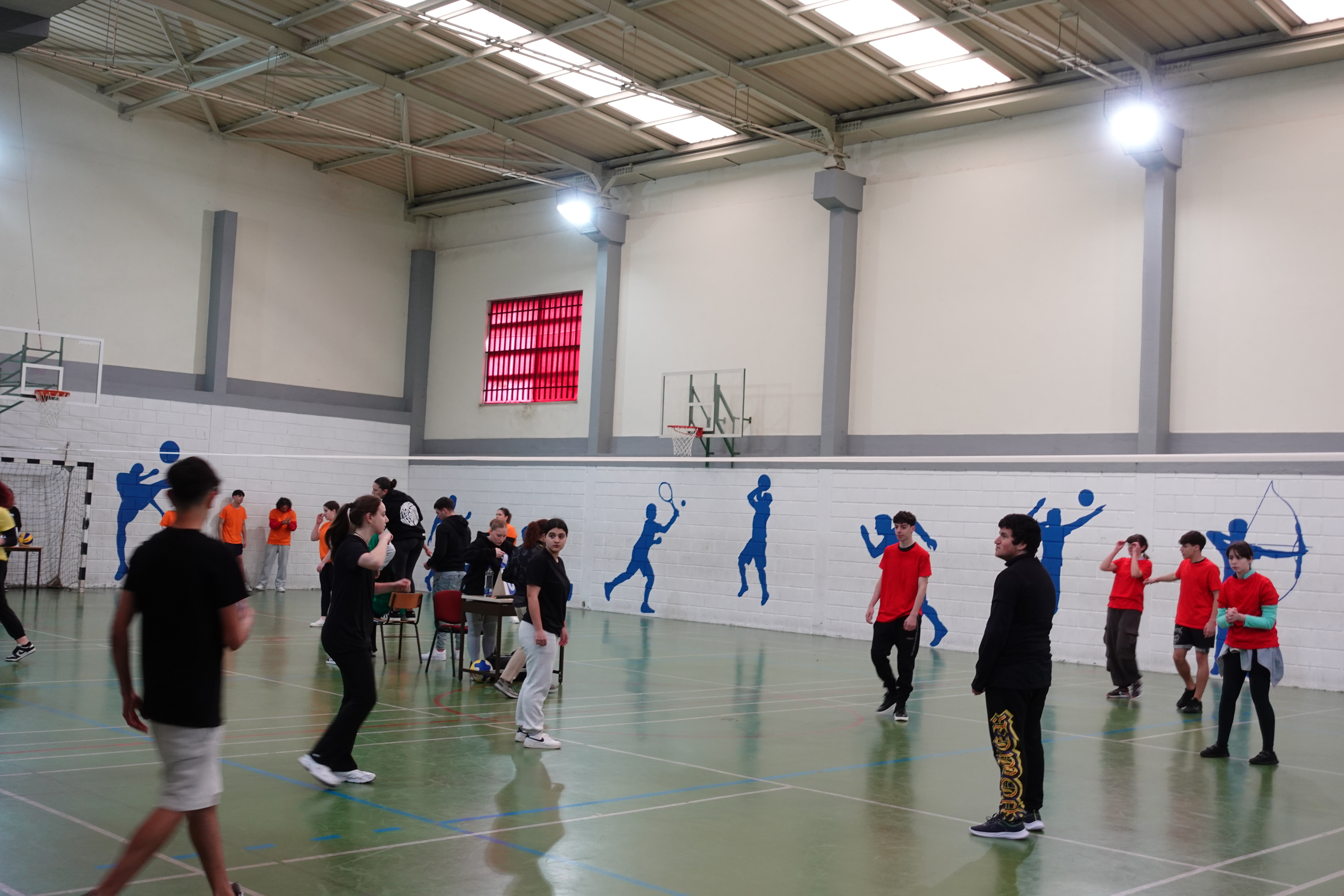 DE voleibol 4
