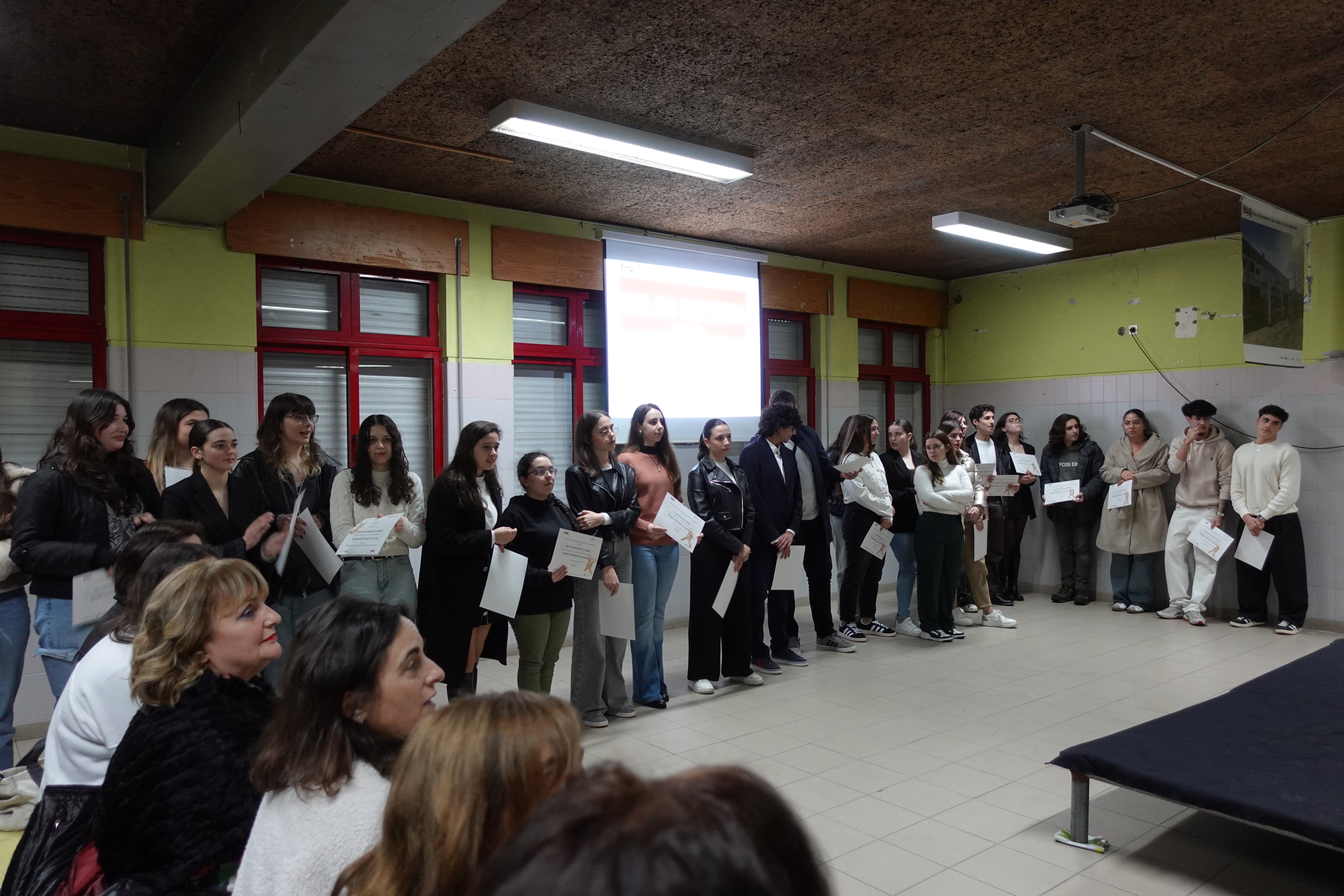 DDiploma todos
